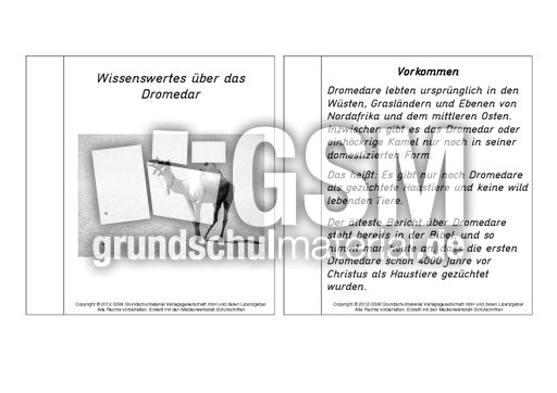 Mini-Buch-für-Lapbook-Dromedar-Lesetext.pdf